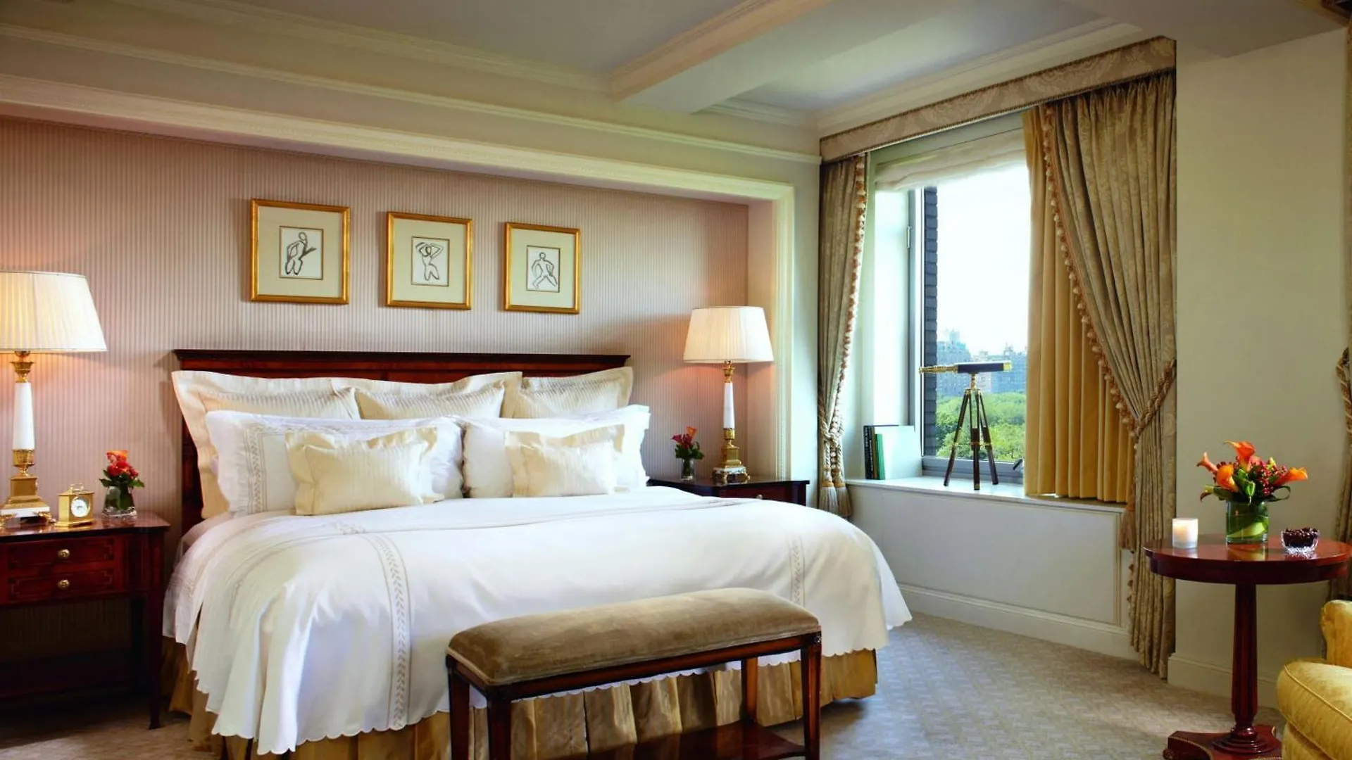 The Ritz-Carlton New York, Central Park